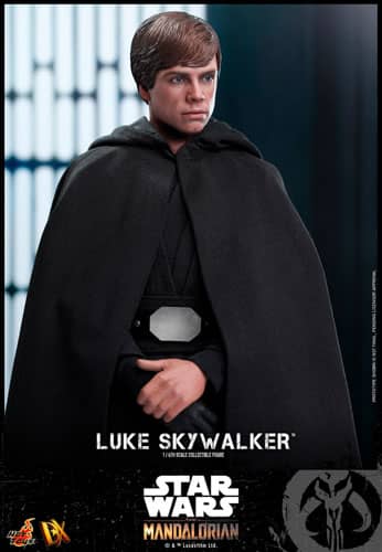 Luke Skywalker Action FIgure View 5